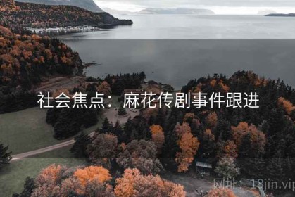 社会焦点：麻花传剧事件跟进
