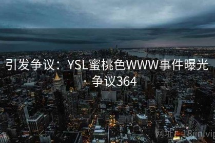 引发争议：YSL蜜桃色WWW事件曝光 · 争议364