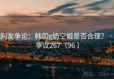 网友争论：韩国g奶空姐是否合理？ · 争议267（96 ）