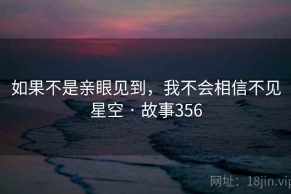 如果不是亲眼见到，我不会相信不见星空 · 故事356