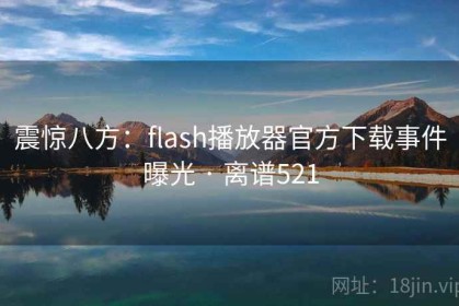 震惊八方：flash播放器官方下载事件曝光 · 离谱521