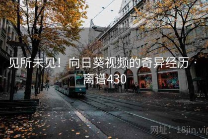 见所未见！向日葵视频的奇异经历 · 离谱430