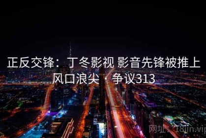 正反交锋：丁冬影视 影音先锋被推上风口浪尖 · 争议313