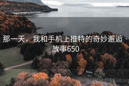 那一天，我和手机上推特的奇妙邂逅 · 故事650