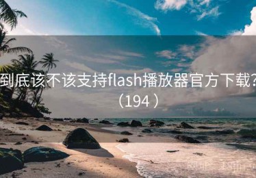 到底该不该支持flash播放器官方下载?(194 ) 到底该不该支持flash播放器官方下载?(194 )