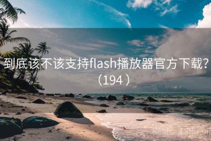 到底该不该支持flash播放器官方下载？（194 ）