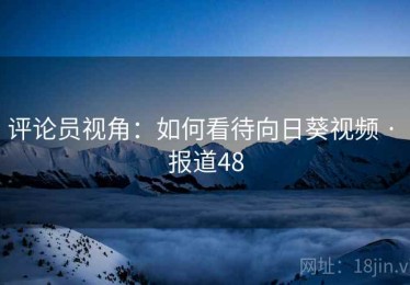 评论员视角:如何看待向日葵视频 · 报道48 评论员视角:如何看待向日葵视频 · 报道48