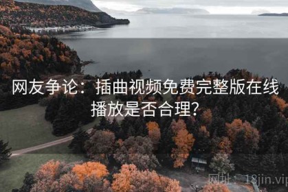 网友争论：插曲视频免费完整版在线播放是否合理？