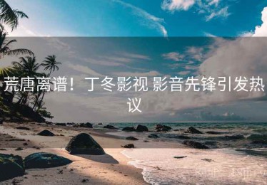 荒唐离谱！丁冬影视 影音先锋引发热议