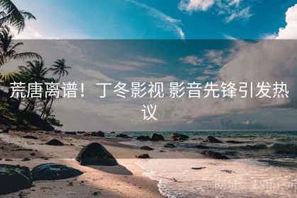 荒唐离谱！丁冬影视 影音先锋引发热议