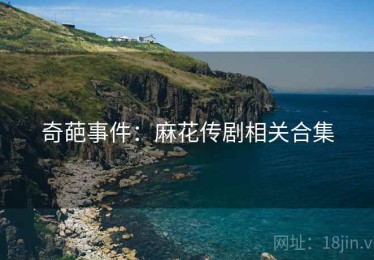 奇葩事件：麻花传剧相关合集