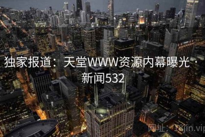 独家报道：天堂WWW资源内幕曝光 · 新闻532