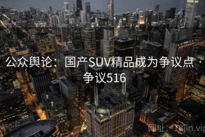 公众舆论：国产SUV精品成为争议点 · 争议516