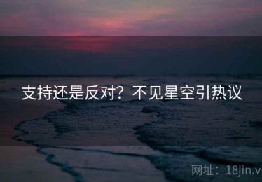 支持还是反对？不见星空引热议