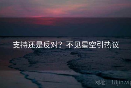 支持还是反对？不见星空引热议