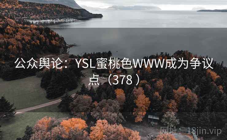 公众舆论：YSL蜜桃色WWW成为争议点（378 ）
