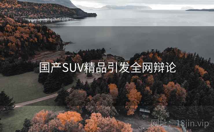 国产SUV精品引发全网辩论 国产SUV精品引发全网辩论